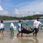 Atrae a turistas torneo de pez vela en Puerto Escondido