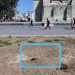 Se seca el árbol de Guamúchil sembrado en el Zócalo de la ciudad de Oaxaca