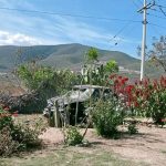 Identifican a dos víctimas de fatal accidente carretero en Oaxaca