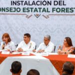 Defensa y respeto a los recursos forestales de los pueblos originarios: Gobernador Salomón Jara
