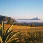 Hoy presentamos este bellísimo lugar de la Mixteca: Santiago Huauclilla, poseedor de gran belleza natural, cascadas y campos que te permitirán apreciar lo hermoso que es la vida.