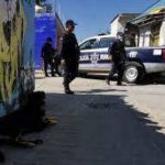 Perros con extremidades en la boca: otra imagen del México que somos. Un perro, frente a elementos de la policía de Oaxaca