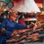 México aumentó producción pesquera en 2022