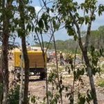 Otorgan suspensión definitiva contra tala por Tren Maya