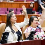 Se amplían los derechos para la mujer con propuesta de la diputada Haydeé Reyes sobre lactancia materna en Oaxaca.