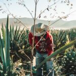 “Los Pueblos del Mezcal en Oaxaca”