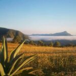 La belleza secreta de La Mixteca: Santiago Huauclilla, con impresionantes cascadas.